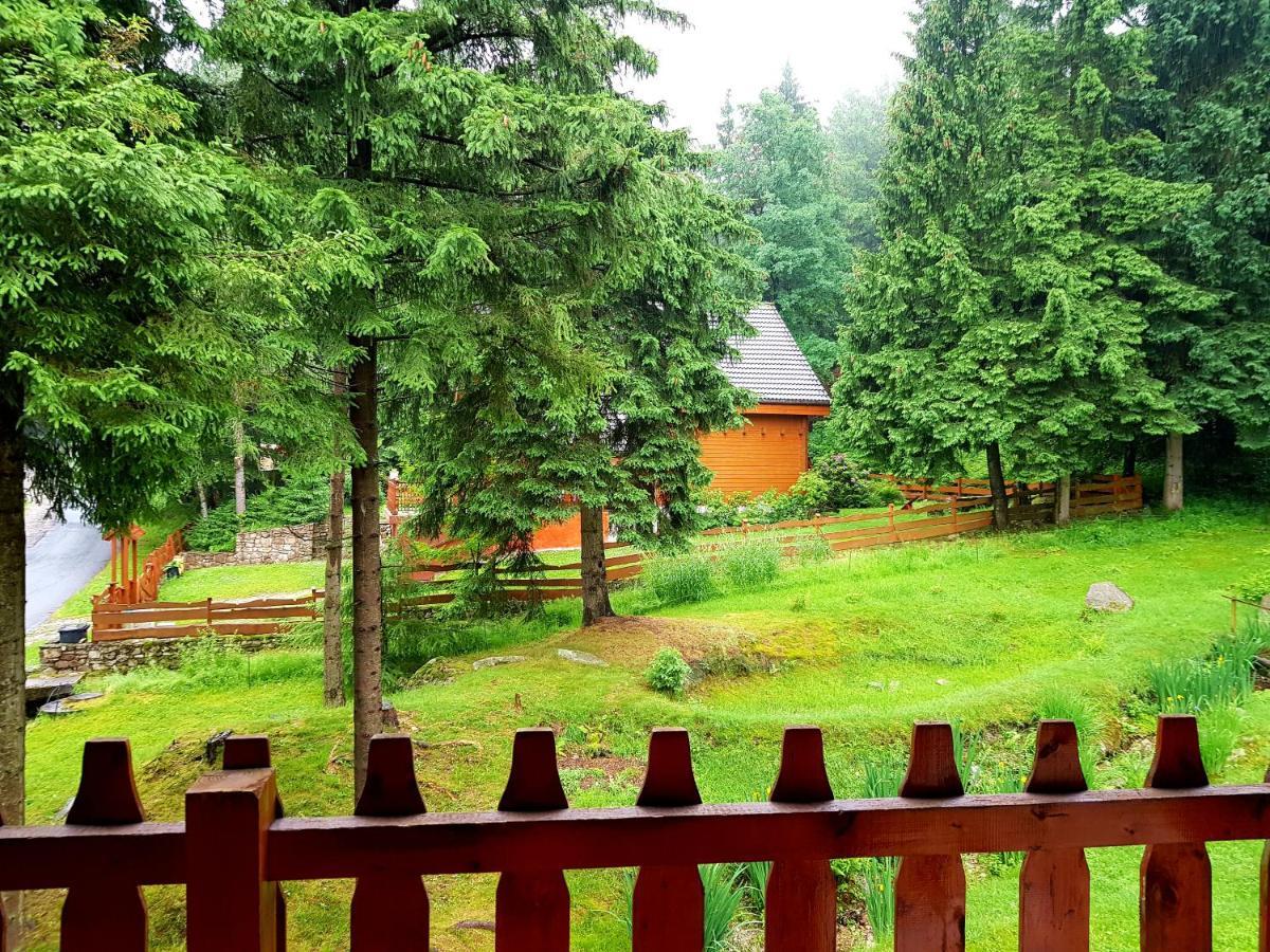 Góralka Apartament Karpacz